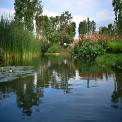 小城鎮(zhèn)污水生態(tài)處理技術